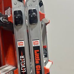 Little Giant Adjustable Ladder