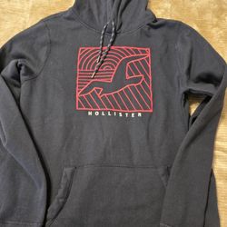 Hollister Men's Hoodie 