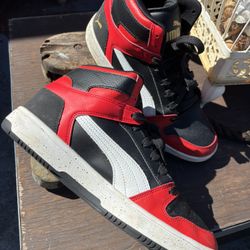 Puma 