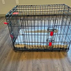 KONE Dog Crate