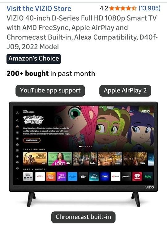 Vizio 40 In TV With Remote