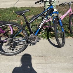 Giant Bike 