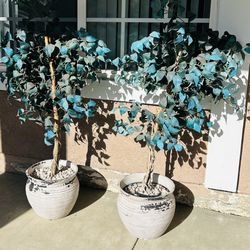 Pair Artificial Plants w/ Pots