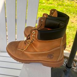 Men’s 8.5 - Timberland 6" Premium Waterproof Boots