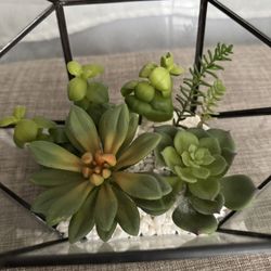 Artificial Succulent 