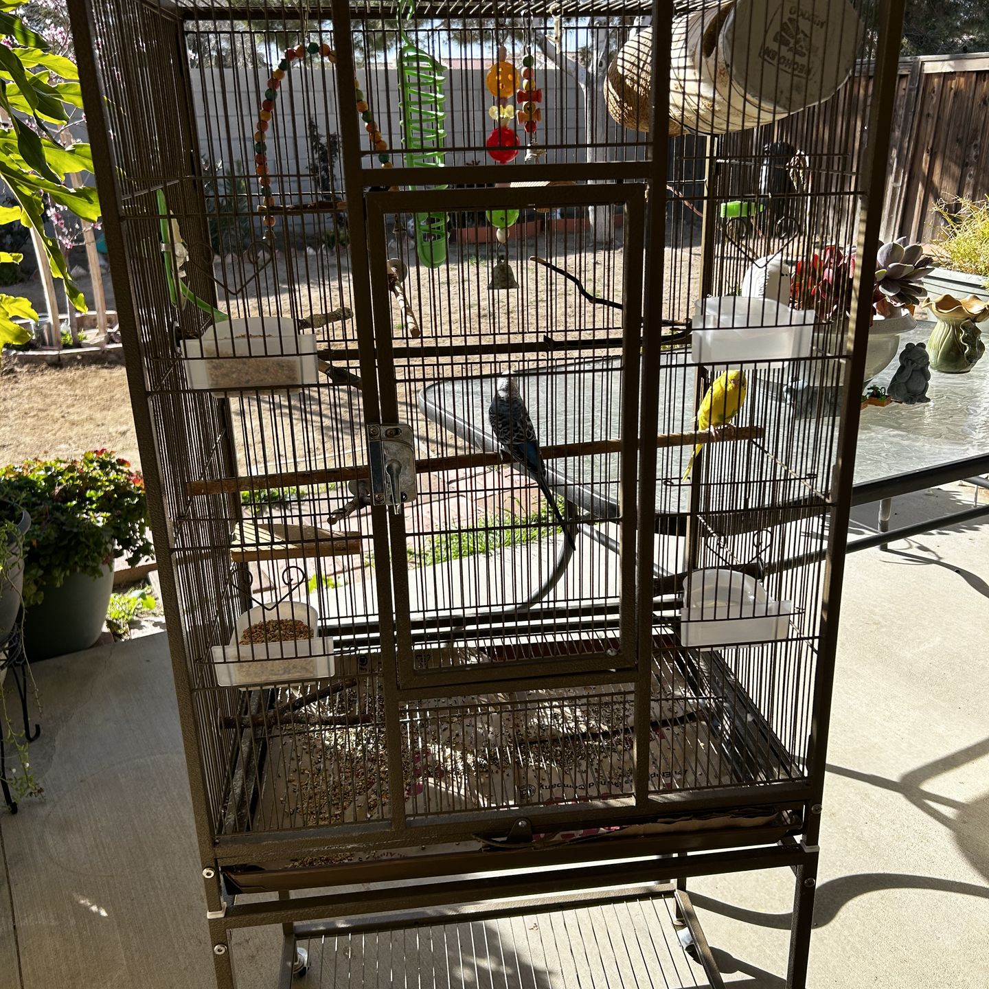 Bird cage