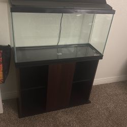 35 Gallon Tank With Stand And Lamp