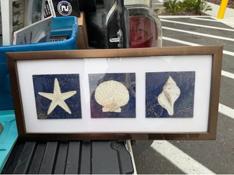 Starfish and shells wall art