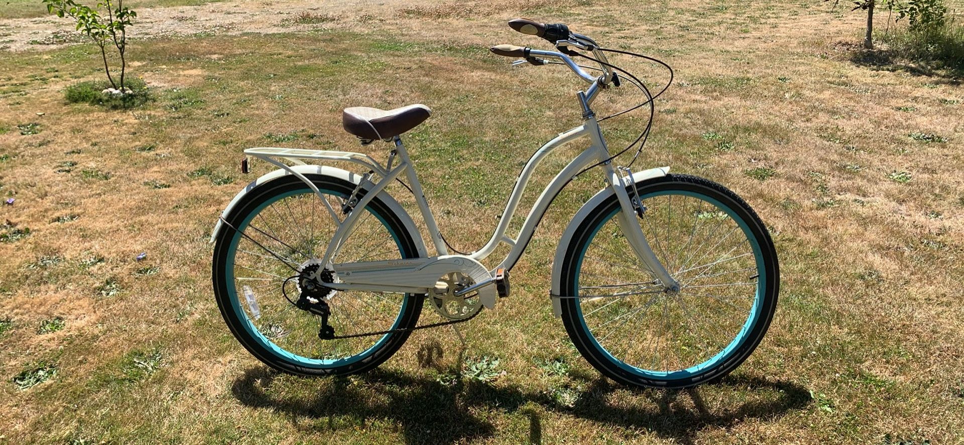 Women Vintage Schwinn Bike