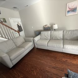 Couch and Loveseat
