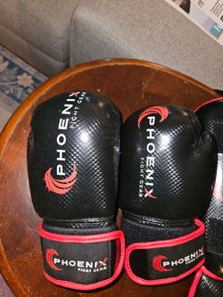 Phoenix Fight Gear Flight Boxing Gloves