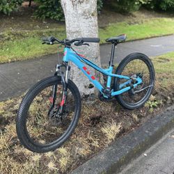 GT Pro mountain bike