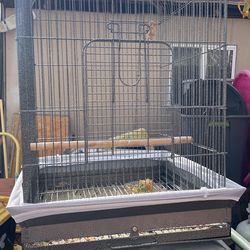 Metal Bird Cage