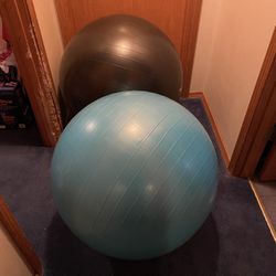 Fitness Ball X2