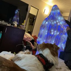 Rave jacket chromatic