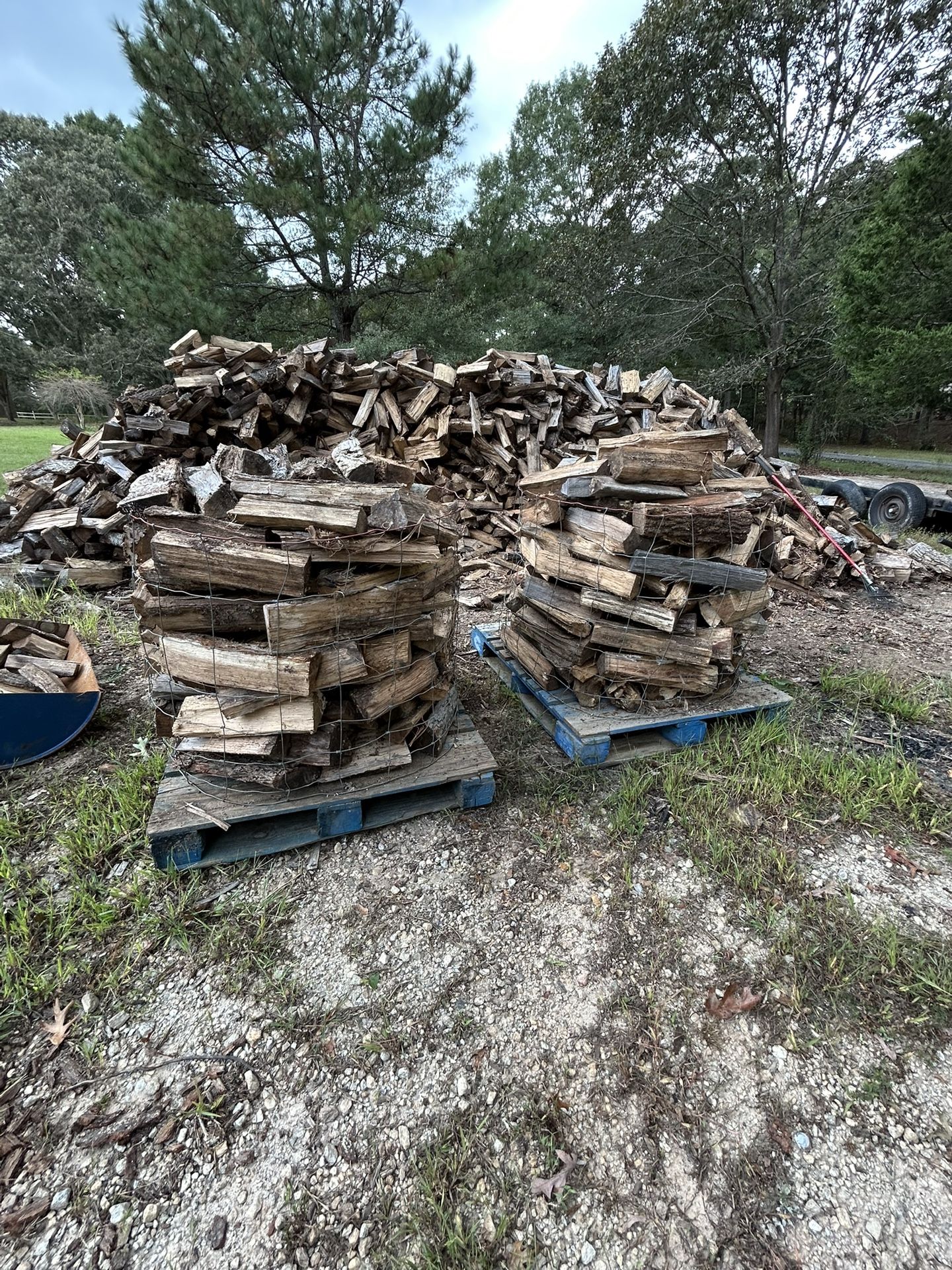 Firewood 