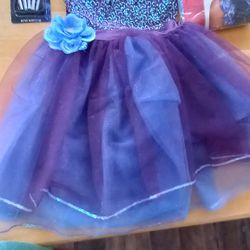 Beautiful Full Costume Blue & Purple Sequined Tutu With Wig & Make Up