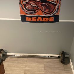 Weight Bar With Weights