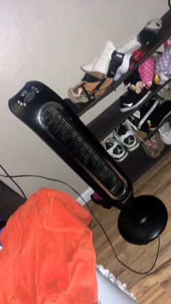 Fan
