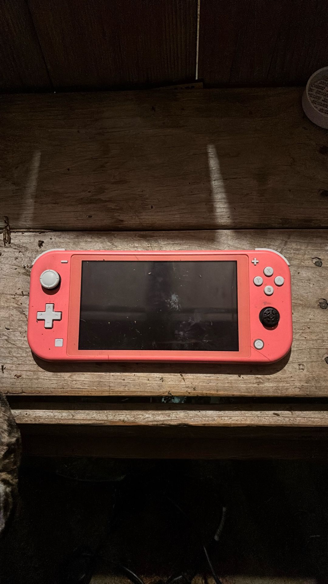 Nintendo Switch Lite