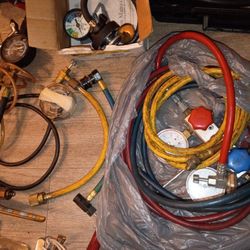 You Gain $120 For All!! 