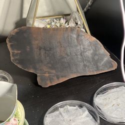 Petrified Wood Slab