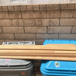 Maple Wood Planks