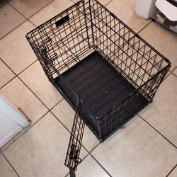 Cat And Dog Cage 