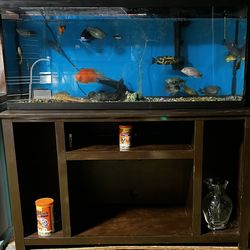 55-gallon fish tank with stand