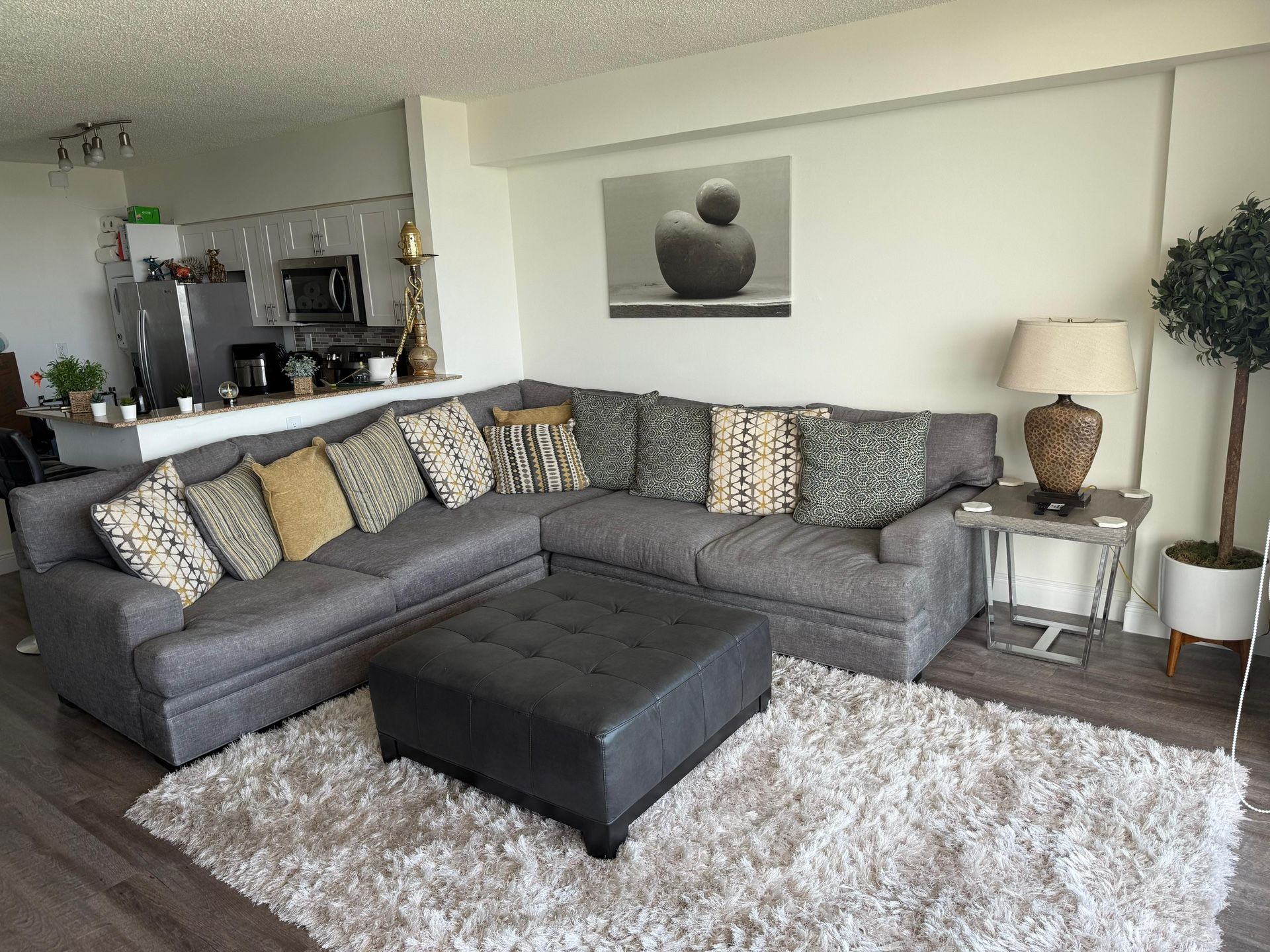 Sofa Set