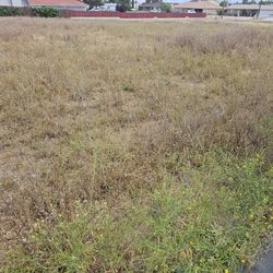 Tractor mowing and Weed Abatement