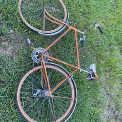 Old Schwinn bike