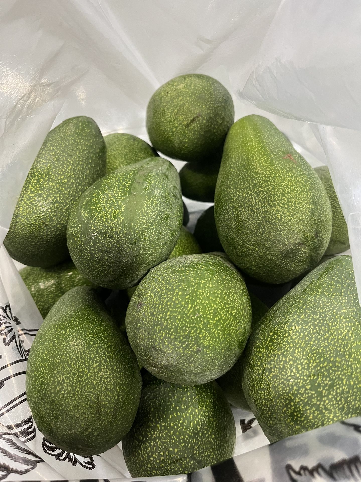 Pending: Large Organic Fuerte Avocados