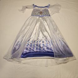 Frozen Nightgown 