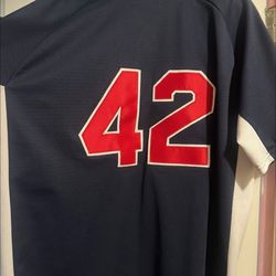 MLB braves and tiger jerseys