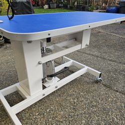 Hydraulic Dog Grooming Table