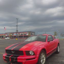 2009 Ford Mustang 