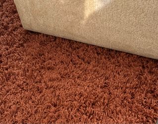 shag area rug 8 x 10 color burnt orange