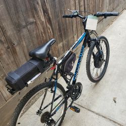 1000W Electric Ebike Bicycle