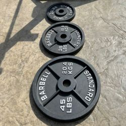 Cast Iron Olympic Weights 