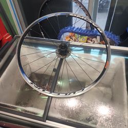 Bike Rims