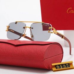 Luxury Sunglasses ➡️ swipe see model