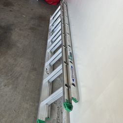 Werner 16 Ft. Extended Ladder