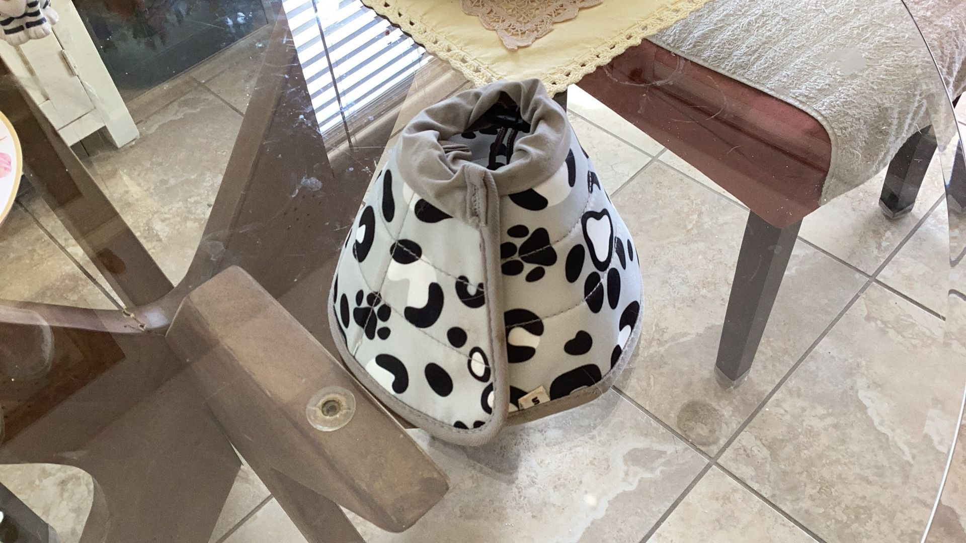 Designer Medical Cone For Cat Size Small