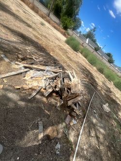 Free Wood