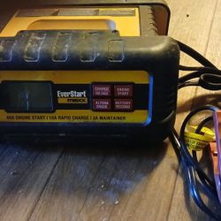 Battery Charger Conditioner