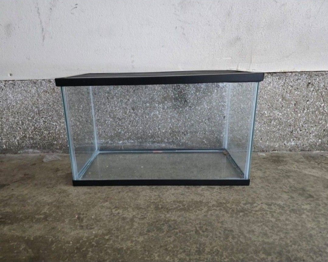 10 Gallon Aquarium Tank