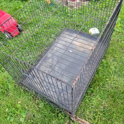 Dog Cage