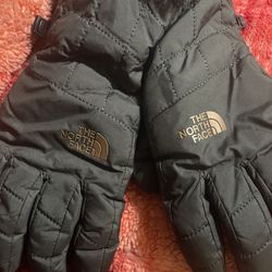 Black Fur Inside North Face Glove