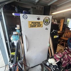 Smoking Deal!!!!   Fridgedaire Stand Up Freezer Commercial